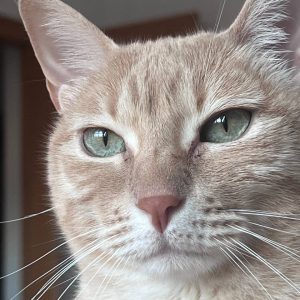 photo_2025-05-14_15-05-57